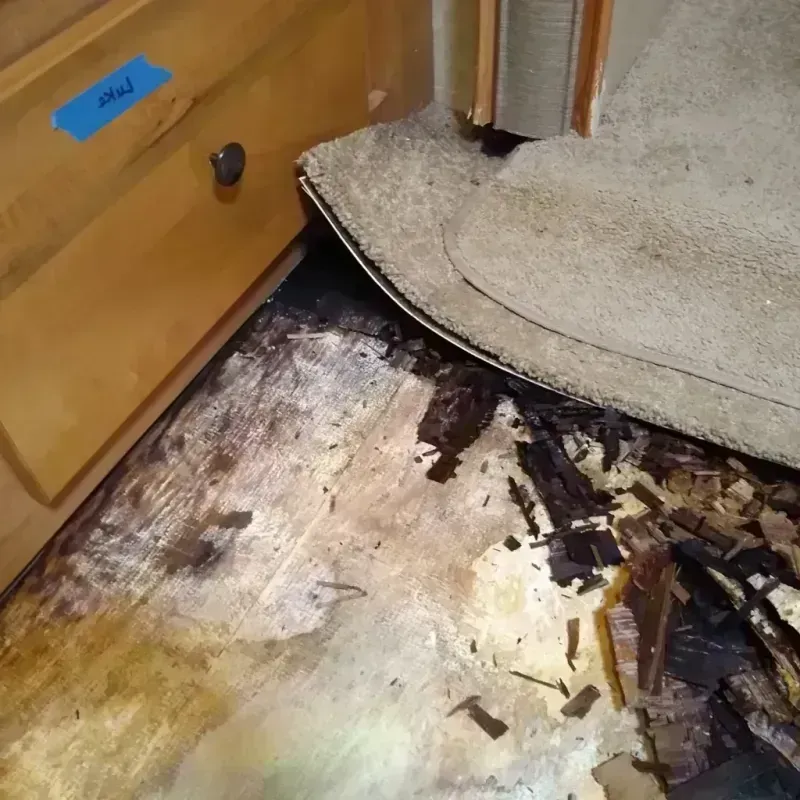 Wood Floor Water Damage in Ashland, CA